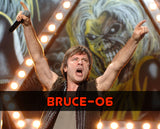 Bruce Dickinson Autograph Preorder (HorrorHound)