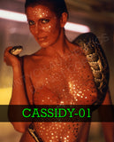 Joanna Cassidy Creep I.E. Autograph Preorder - Purchase from MA
