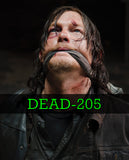 Norman Reedus Autograph PHOTO Preorder