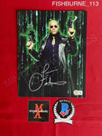 FISHBURNE_113 - 8x10 Photo Autographed By Laurence Fishburne
