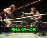 JAKE THE SNAKE ROBERTS Monster-Mania 66 Autograph Preorder - PURCHASE ITEM FROM US