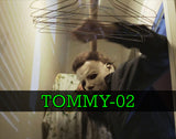 TOMMY LEE WALLACE Monster-Mania 68 Autograph Preorder - PURCHASE FROM MA