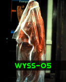 Creep IE Amanda Wyss Autograph Preorder - Purchase From Mintych