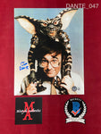 DANTE_047 - 8x10 Photo Autographed By Joe Dante