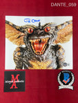 DANTE_059 - 8x10 Photo Autographed By Joe Dante