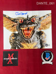 DANTE_061 - 8x10 Photo Autographed By Joe Dante