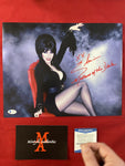 ELVIRA_439 - 11x14 Photo Autographed By Elvira