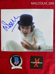MALCOLM_289 - 8x10 Photo Autographed By Malcolm McDowell