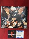 WINSLOW_021 - 8x10 Photo Autographed By Michael Winslow